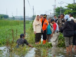 Tinjau Wilayah Banjir, Mbak Ita Urai Persoalan yang Menghambat Penanganan