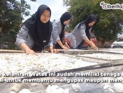 Video Warga Blora Olah Ketela Pohon jadi Bernilai Ekonomi Tinggi