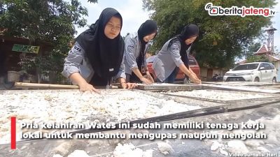 Video Warga Blora Olah Ketela Pohon jadi Bernilai Ekonomi Tinggi
