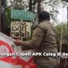 penertiban APK caleg Semarang
