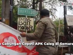 penertiban APK caleg Semarang