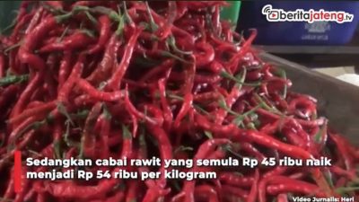 Video Makin Pedas, Harga Cabai Rawit Tembus Rp 54 Ribu