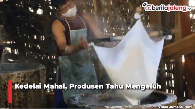 Video Kedelai Mahal, Produsen Tahu Mengeluh