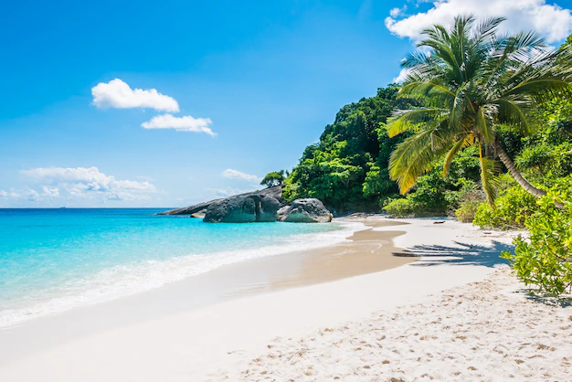 tips mengunjungi pantai