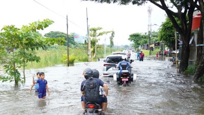 Ada 70 Kilometer Tanggul Kritis di Jateng, BBWS Pemali Juana Lakukan Perbaikan, Telah Selesai 40 Kilometer