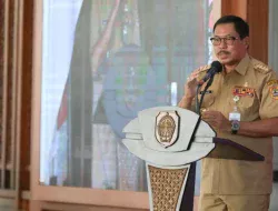 cabai rumah