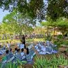 SDN pakintelan semarang bullying