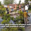 BPBD Blora