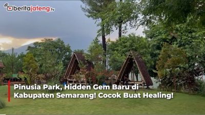 Video Pinusia Park, Hidden Gem Baru View Tol Semarang-Solo