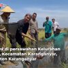 Ketua DPRD Jateng Sumanto panen mina padi