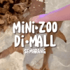 Mini Zoo Semarang