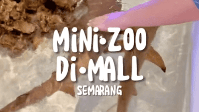 Cocok untuk Liburan Nataru, Mini Zoo Hadir di Queen City Mall Semarang, Sampai 14 Januari 2024 Saja!