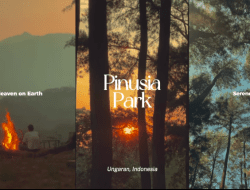 Wisata Hidden Gem Semarang ‘Pinusia Park’ yang Top Banget Buat Healing Tipis-tipis