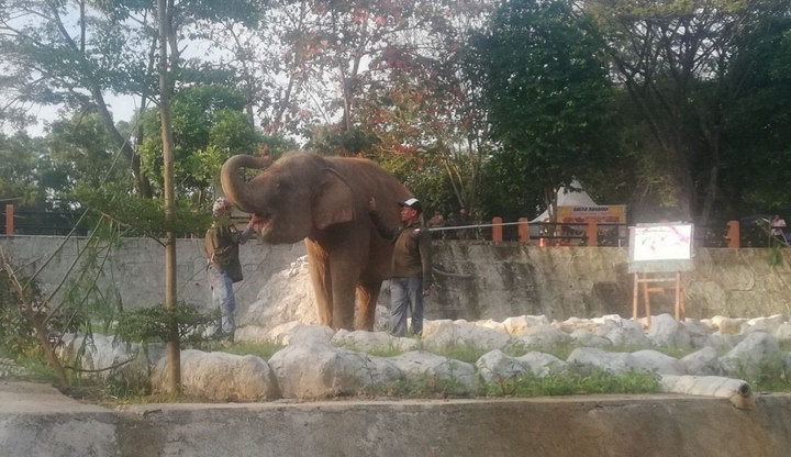 Semarang Zoo