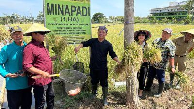 Panen Mina Padi di Karanganyar Melimpah, Ketua DPRD Jateng: Petani Nggak Bingung Lagi Pupuk Mahal