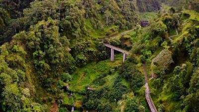 4 Fakta Mengejutkan tentang Jembatan Plunyon Kalikuning, Lokasi Syuting Film Horor Indonesia