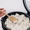 rice cooker