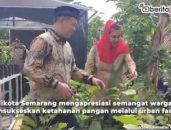 Video Warga Gebangsari Semarang Gencarkan Urban Farming