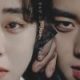 Love Song for Illusion