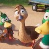 film migration