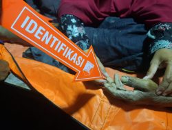 Jebakan Tikus Sawah di Blora Kembali Telan Korban