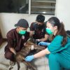 Anjing Jagal | Anjing Selundupan