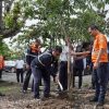 KAI Daop 4 Semarang Tanam Pohon
