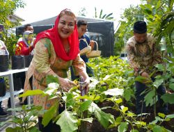 Warga Gebangsari Ikut Jaga Ketahanan Pangan Lewat Program Urban Farming