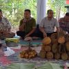 Wisata Kampung Durian di Blora, Miliki Tradisi Unik Setiap Masa Panen
