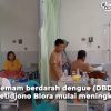 kasus demam berdarah Blora