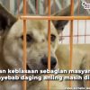 konsumsi daging anjing Jateng