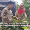 Walikota Semarang