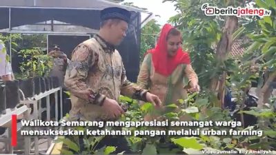 Video Warga Gebangsari Semarang Gencarkan Urban Farming