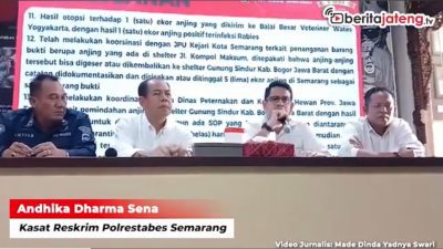 Video Polrestabes Semarang Sebut Ada Oknum Petugas Diduga Palsukan Dokumen Pengiriman Ratusan Anjing