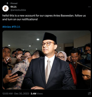 anies bubble