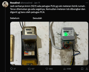 PLN viral