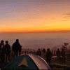 mawar camp