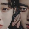 Love Song for Illusion