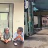 PLN viral