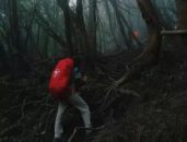Jangan Kaget! Berikut 7 Fakta Mengejutkan dari Film Horor Berjudul Pasar Setan