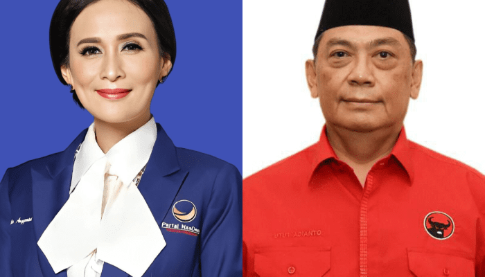 Live Real Count Pileg DPR RI Dapil Jateng 7: Amelia Anggraini Tertinggi, Disusul Grandmaster Catur Utut Adianto