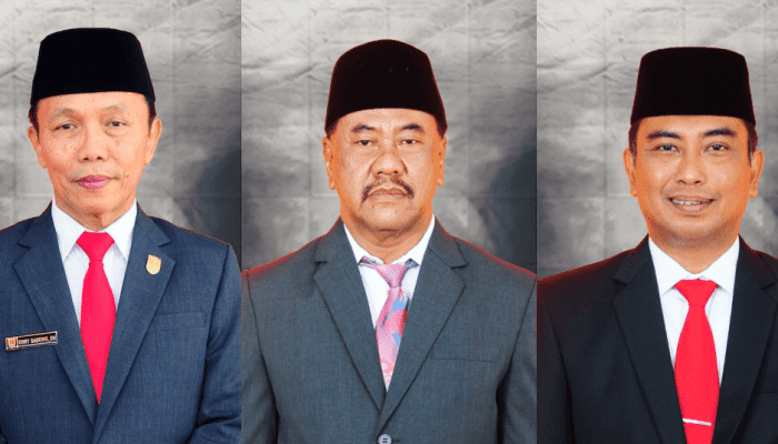 Live Real Count Pileg DPRD Dapil Kota Semarang 6: Erry Sadewo di Puncak, Disusul Abdul Majid