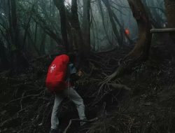 Berikut Kisah Mistis Kampung Pasar Setan, Terletak di Tengah Hutan Kabupaten Banjarnegara