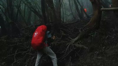 Berikut Kisah Mistis Kampung Pasar Setan, Terletak di Tengah Hutan Kabupaten Banjarnegara