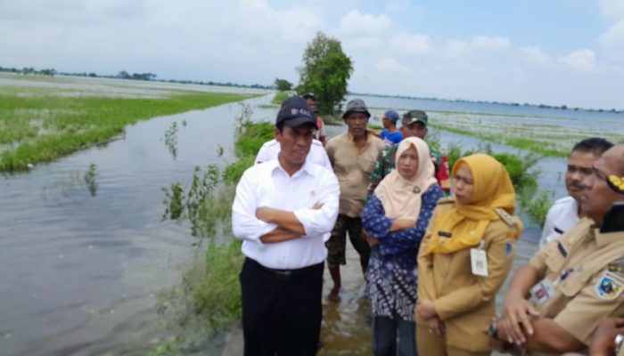 Kementan Kucurkan Rp 30 Miliar untuk Petani Terdampak Banjir di Demak, Kudus dan Grobogan