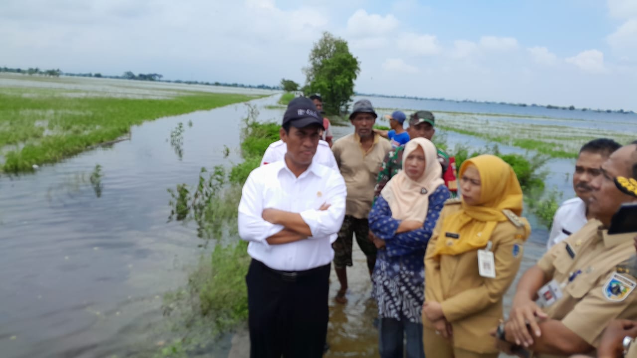 Kementan Petani Banjir di Demak, Kudus dan Grobogan