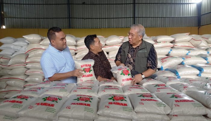 Dirut Bulog Jelaskan Penyebab Tingginya Harga Beras di Pasaran