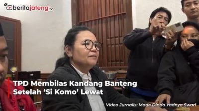 Video PDIP Membilas Kandang Banteng Setelah ‘Si Komo’ Lewat