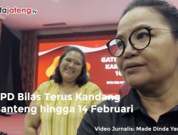 Video TPD Bilas Terus Kandang Banteng hingga 14 Februari