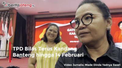 Video TPD Bilas Terus Kandang Banteng hingga 14 Februari